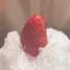 はなのプロフィール画像