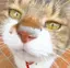 ほのかのプロフィール画像