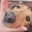りさのプロフィール画像