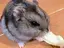 くうそのプロフィール画像