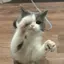ぱ!!のプロフィール画像