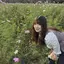 あかりんごのプロフィール画像