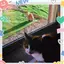 ゆっこちんのプロフィール画像