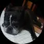 ばにらのプロフィール画像