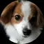 maiのプロフィール画像