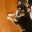 ikuchiのプロフィール画像