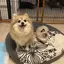 aknのプロフィール画像