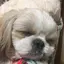 かずのプロフィール画像