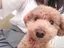 えんさやのプロフィール画像
