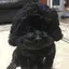 祥太のプロフィール画像