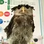 おれんぴのプロフィール画像