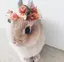 Mのプロフィール画像