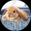 miのプロフィール画像