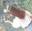 晴菜のプロフィール画像