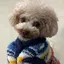 ななのプロフィール画像