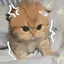 ㅁㅇのプロフィール画像
