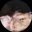 Jamのプロフィール画像