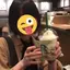 めめこのプロフィール画像