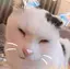 ひなたのプロフィール画像