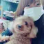 azmのプロフィール画像