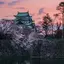 ピサンのプロフィール画像