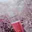 中村友紀のプロフィール画像