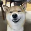 あぬのプロフィール画像