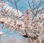 yyuのプロフィール画像
