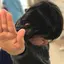 tinaのプロフィール画像