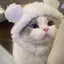 hoshiのプロフィール画像