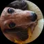 じゅんのプロフィール画像