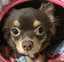 まなのプロフィール画像