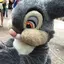 ayaanのプロフィール画像