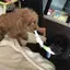 さかたのプロフィール画像