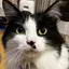 ZAWAのプロフィール画像