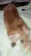 ニモのプロフィール画像
