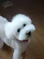 franranのプロフィール画像