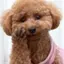 あいのプロフィール画像