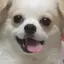 mitsuのプロフィール画像