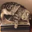 田中のプロフィール画像