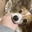 ユのプロフィール画像