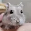 ゆぅのプロフィール画像