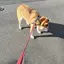 わかのプロフィール画像