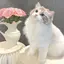 ^^のプロフィール画像