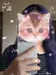 ゆうちゃんのプロフィール画像