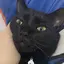 むぎのプロフィール画像