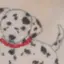 ユキのプロフィール画像