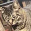ぽんちゃんのプロフィール画像