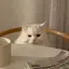 Rのプロフィール画像