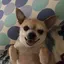 ぽん太のプロフィール画像